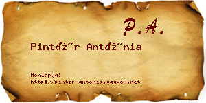 Pintér Antónia névjegykártya