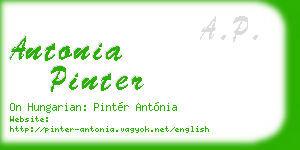 antonia pinter business card