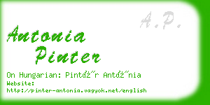 antonia pinter business card